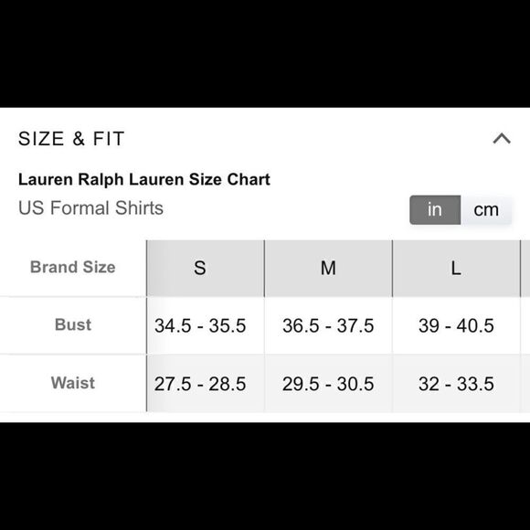 Ralph Lauren Women’s Georgette Pintuck Button-Down Top Gray Business Casual Med - Picture 3 of 4